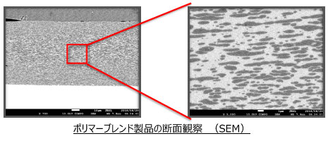 ポリマーブレンドの断面観察